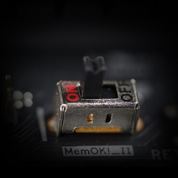 MemOK! II