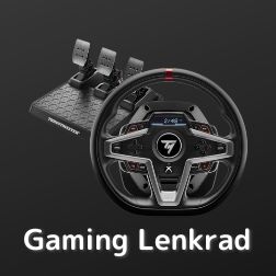 Gaming Lenkrad