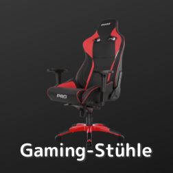 Gaming Stuhl